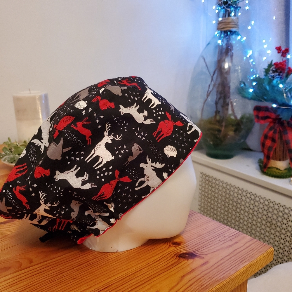 Scrub-hats Wildlife - Picture 2 of 9